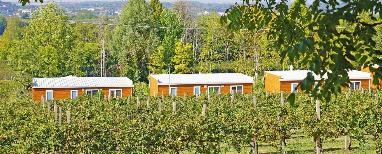 Agriturismo B&B Corte Tonolli Валеджо-суль-Минчо Экстерьер фото